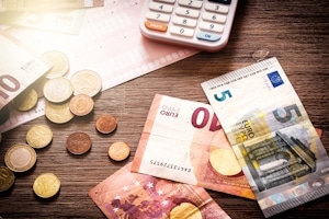 Außergerichtliche Einigung: Wer trägt die Kosten für eine Beratung? Das ist der Schuldner selbst.